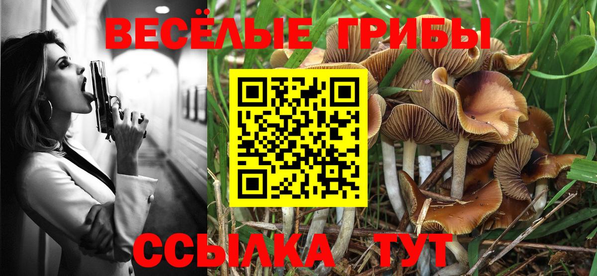 Галлюциногенные грибы Psilocybine cubensis Верхняя Пышма