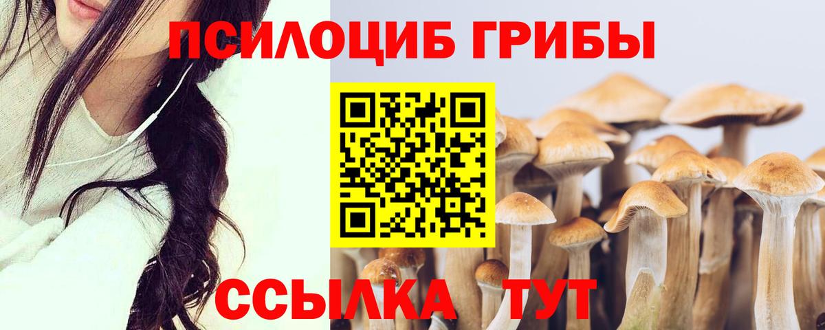Галлюциногенные грибы Cubensis  Псилоцибиновые грибы Magic Shrooms  Вход с VPN  Верхняя Пышма 